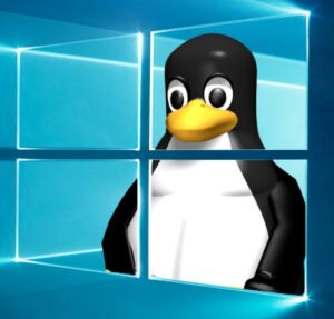 Scopri di più sull'articolo Le migliori distribuzioni Linux del 2021